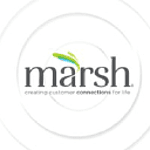 Marsh Ideas logo