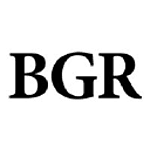 BGR Group logo