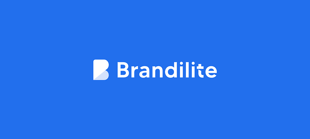 Brandilite cover