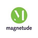 Magnetude Consulting logo