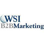 WSI B2B Marketing.com logo