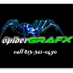 Spidergrafx Web Design logo