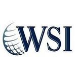 WSI Top Web Designers logo