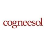 Cogneesol logo