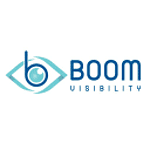 Boom Visibility logo