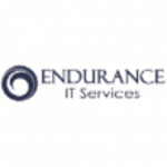 Endurance IT Services logo