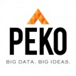 Peko Data LLC logo