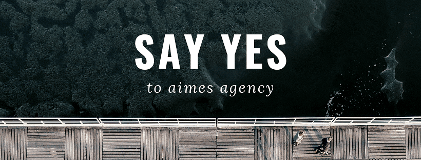 Aimes Agency LLC cover