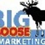 Big Moose Marketing logo
