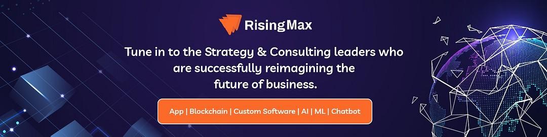 RisingMax - Blockchain Developers cover