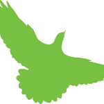 Green Bird Media logo