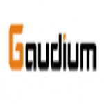 Gaudium logo
