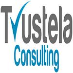trustela consulting- Best Digital Marketing Agency in Florida USA