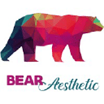 Bear Aesthetic