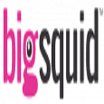 Big Squid,Inc. logo